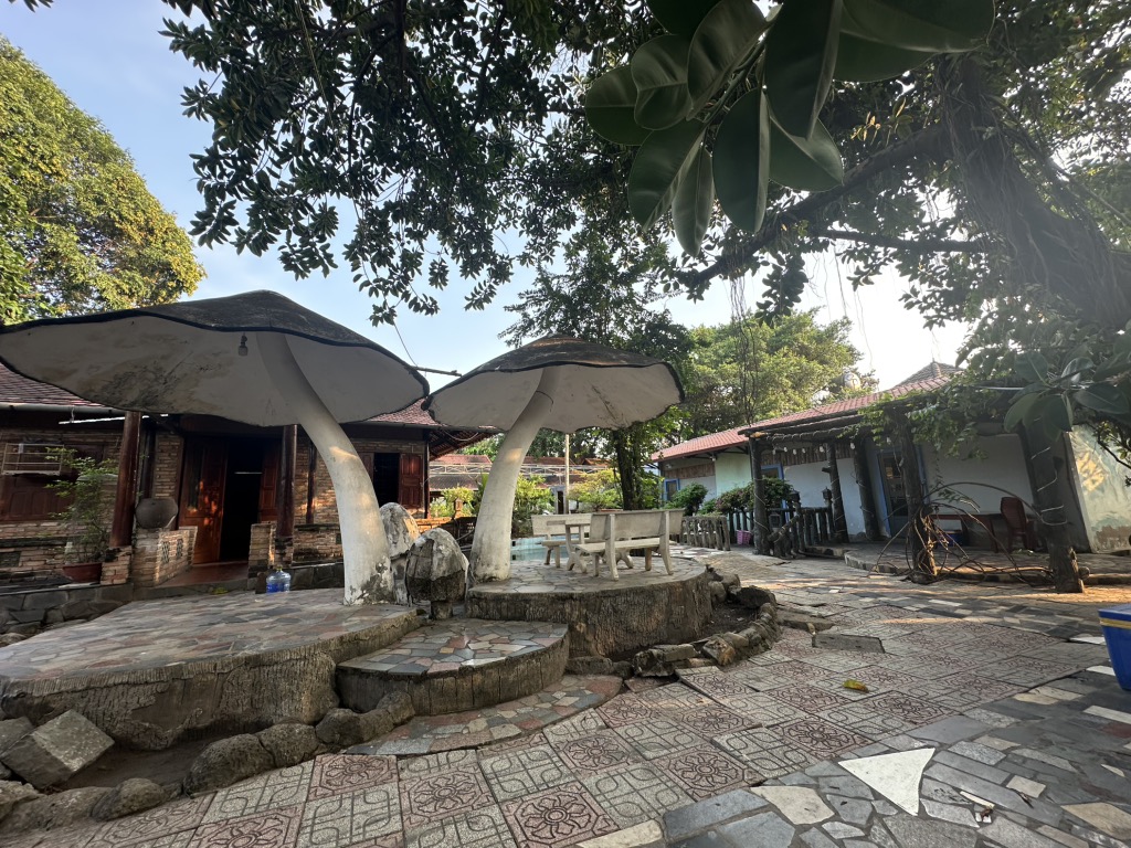 Cần Bán Nhà Hàng Sân Vườn 14000m2 Phường Tam Phú-Thủ Đức - Thu Nhập 10 Tỷ/th, 250 tỷ - Ảnh 4